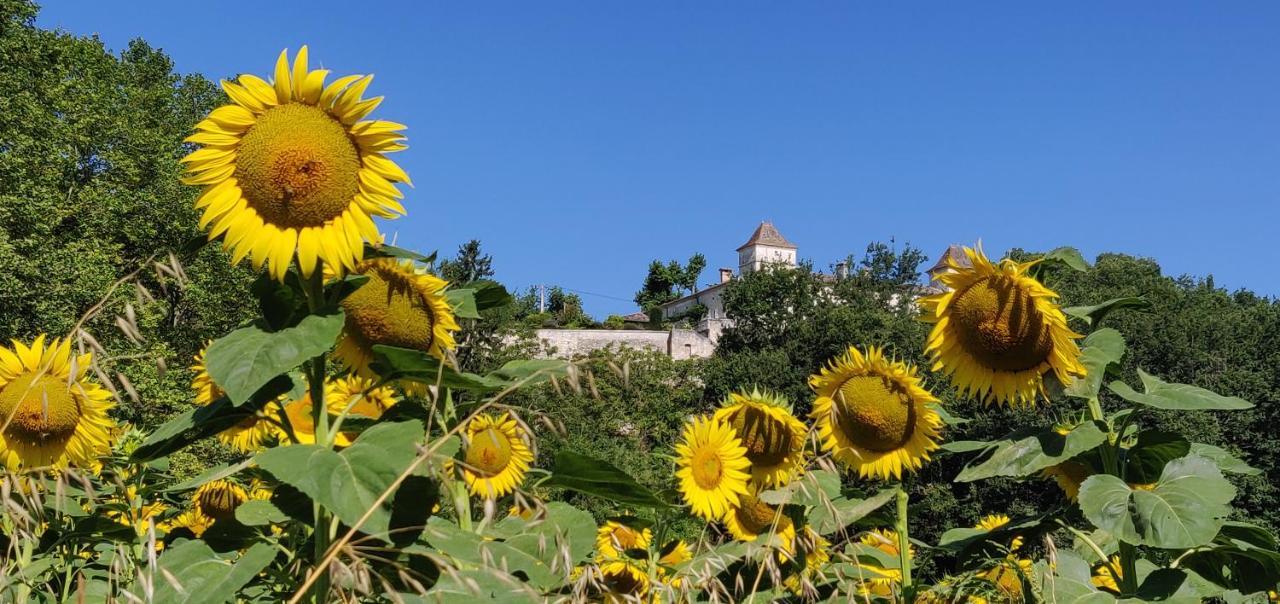 Manoir Le Bourg, Touffailles Villa Bagian luar foto