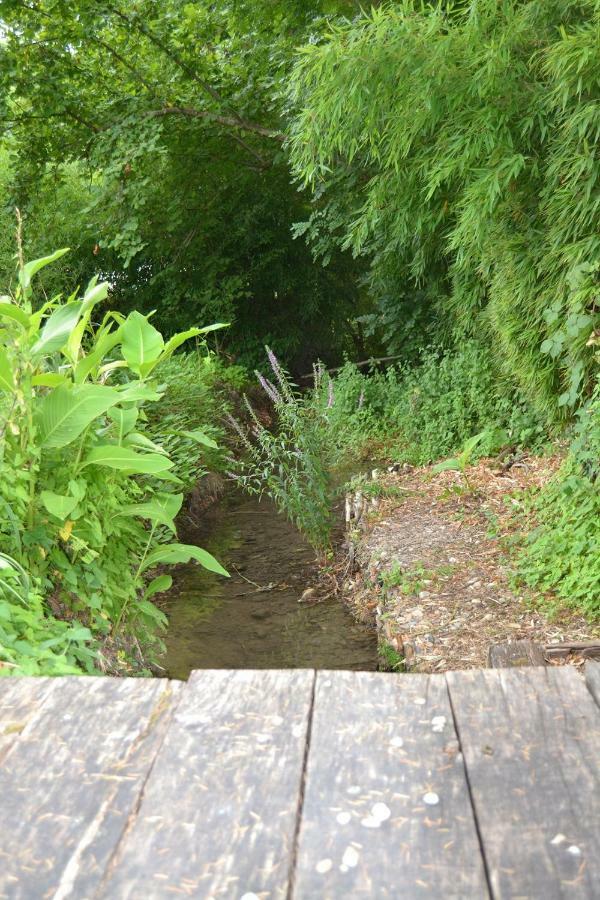 Manoir Le Bourg, Touffailles Villa Bagian luar foto